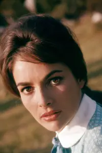 Фото Карін Дор (Karin Dor)