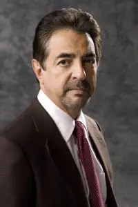 Фото Джо Мантенья (Joe Mantegna)