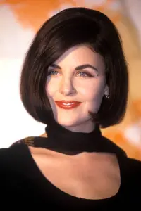 Фото Шерілін Фенн (Sherilyn Fenn)