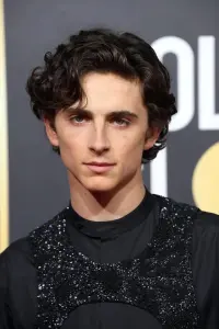 Фото Тімоті Шаламе (Timothée Chalamet)