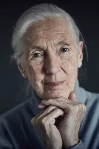 Фото  (Jane Goodall)