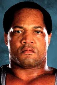 Фото  (Ron Simmons)