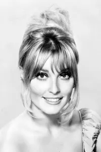 Фото Шерон Тейт (Sharon Tate)