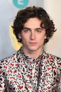 Фото Тімоті Шаламе (Timothée Chalamet)