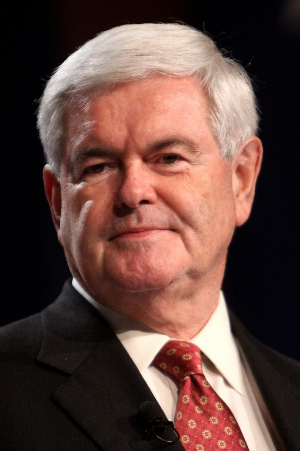 Фото  (Newt Gingrich)