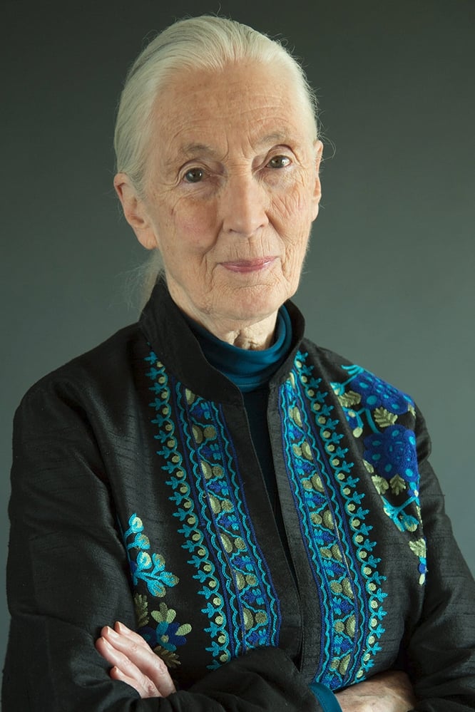 Фото  (Jane Goodall)