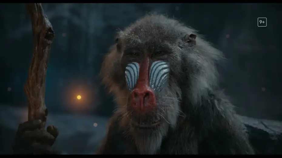 Відео до фільму Муфаса: Король Лев | Anuncio: 'Es la hora de contarte una historia'