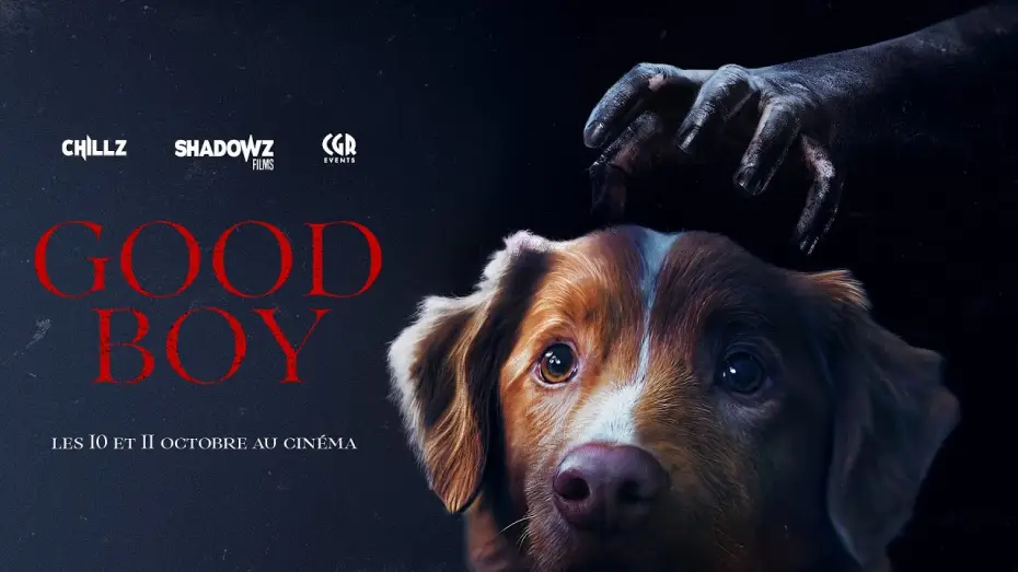 Відео до фільму Хороший хлопчик | GOOD BOY - trailer VOSTFR