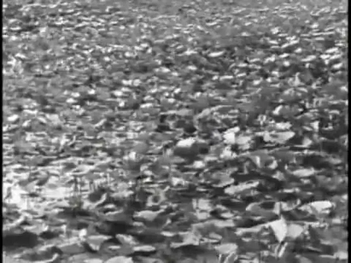 Відео до фільму Пісня дороги | Pather Panchali  the rain scene