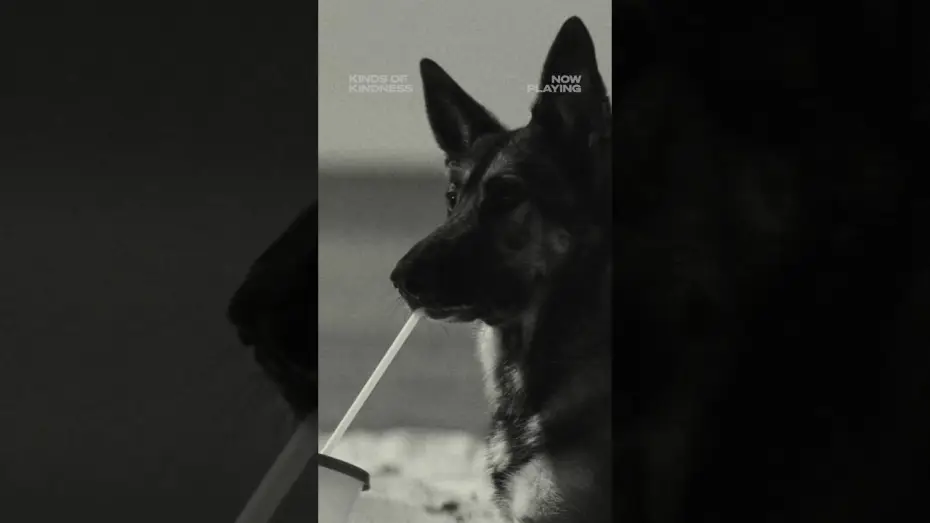 Відео до фільму Види милосердя | Wonderful