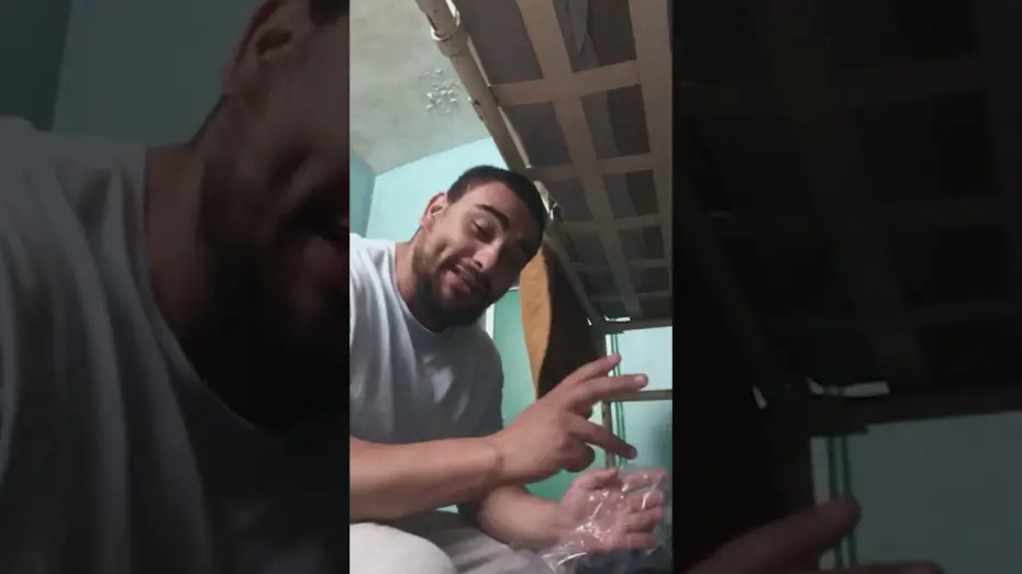 Відео до фільму Wasteman | the album tour continues.