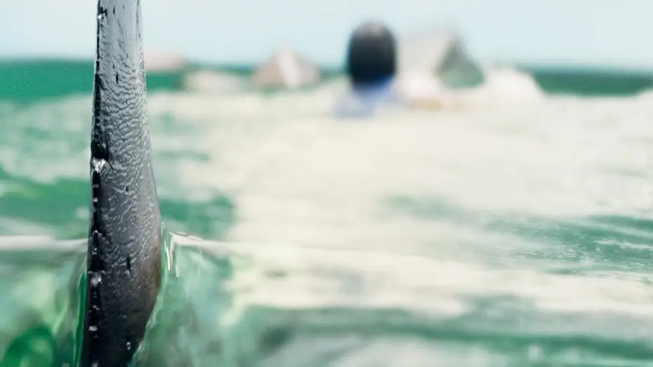 Відео до фільму Deep Water | Teaser Trailer