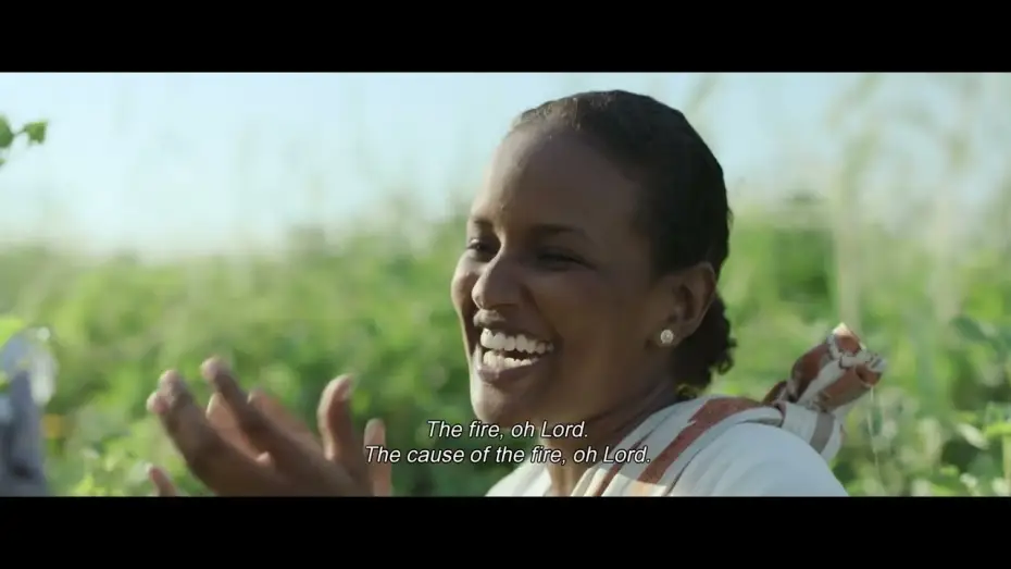 Відео до фільму ملكة القطن | #TIFF66 | Cotton Queen [INTERNATIONAL COMPETITION]