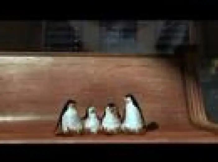 Відео до фільму Мадагаскар | Madagascar Trailer