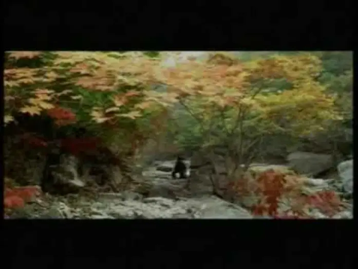 Відео до фільму Весна, літо, осінь, зима... і знову весна | Printemps, &eacute;t&eacute;, automne, hiver... et printemps - 봄, 여름, 가을, 겨울 그리고 봄