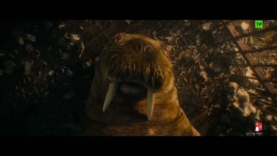 Відео до фільму Вартові галактики 3 | Escena: 'Amigos'