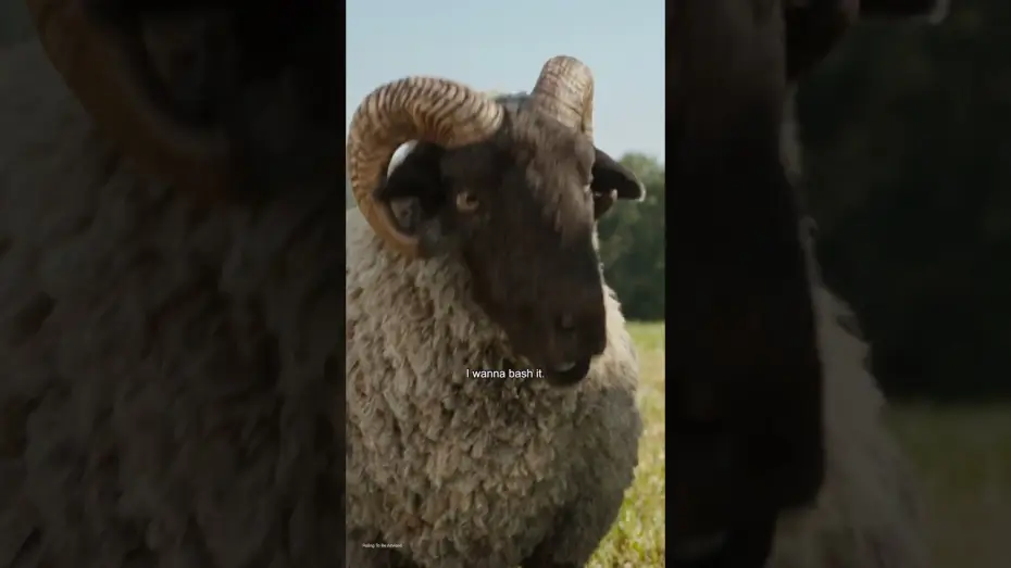 Відео до фільму Вівці-детективи | One Month Countdown