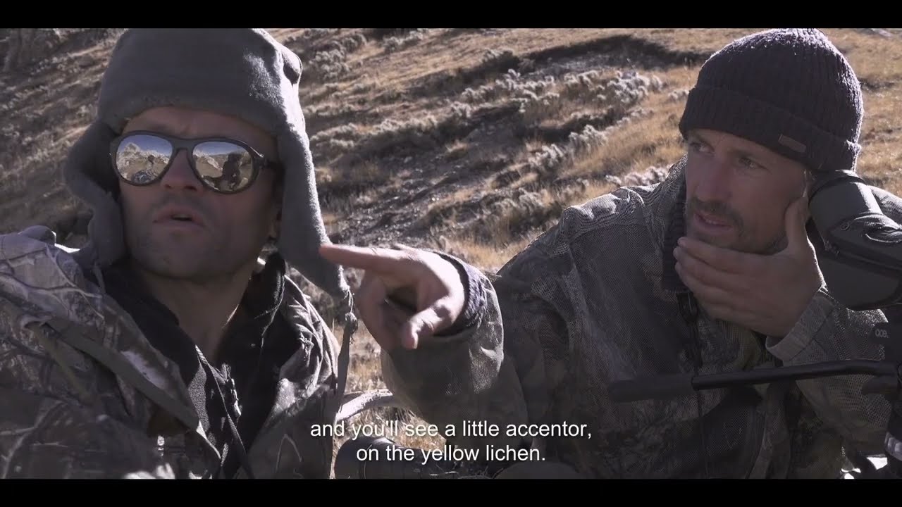 Відео до фільму The Velvet Queen | 'The Velvet Queen' (2021) - Camoflauge - English Sub Title