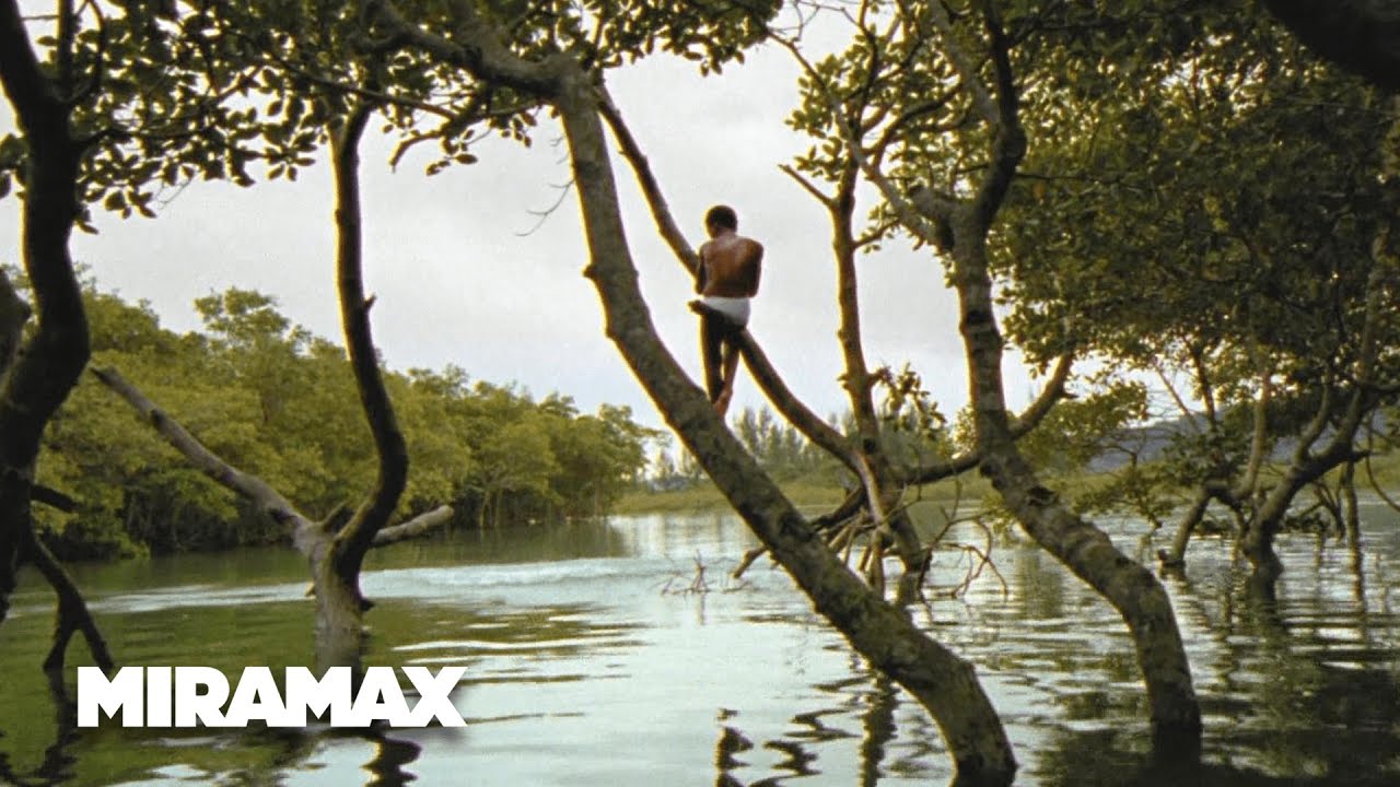 Відео до фільму Місто Бога | Looking for Paradise