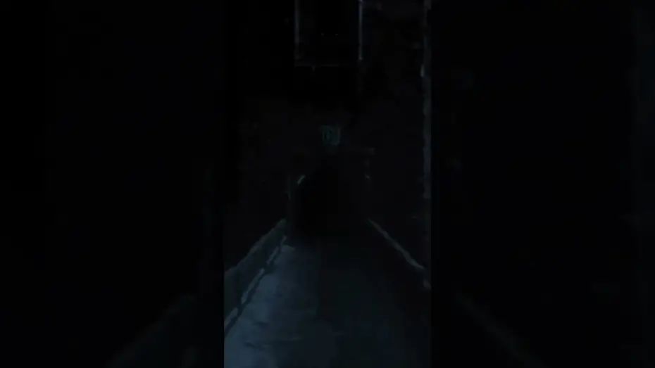 Відео до фільму Носферату | There is a dread storm rising.