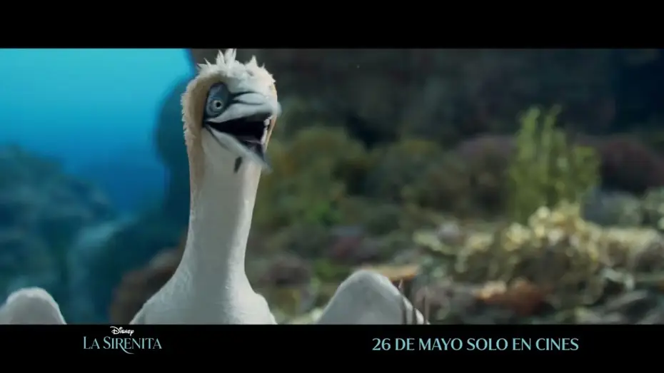 Відео до фільму Русалонька | Anuncio: '&iquest;Tienes idea de lo que es?'