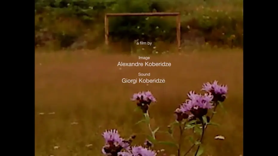 Відео до фільму ხმელი ფოთოლი | Official Teaser Trailer