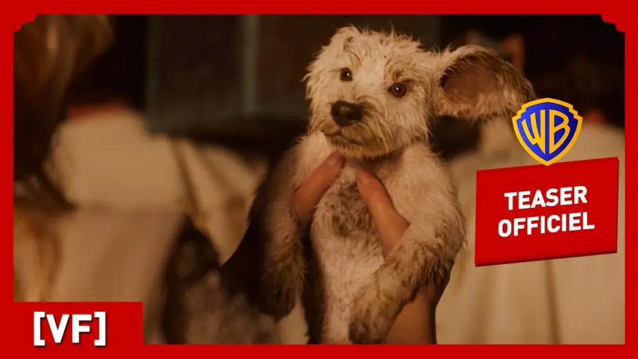 Відео до фільму Суперґьорл | Supergirl | Teaser Krypto (VF) | Milly Alcock, Jason Momoa