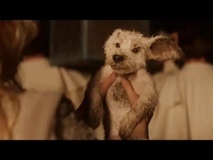 Відео до фільму Суперґьорл | Home