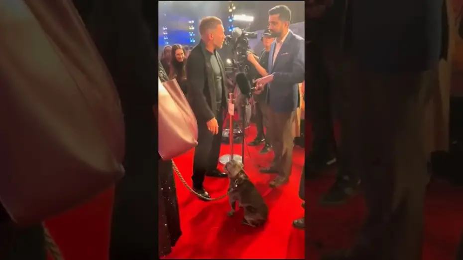 Відео до фільму Веном: Останній танець | A VIP cutie patootie 🖤 Blue stole our hearts