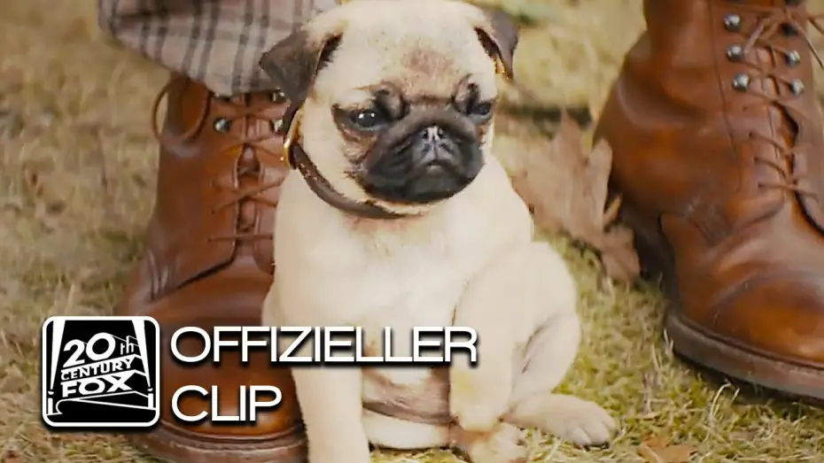 Відео до фільму Kingsman: Таємна служба | Kingsman: The Secret Service | Ein Mops! | Clip Deutsch HD