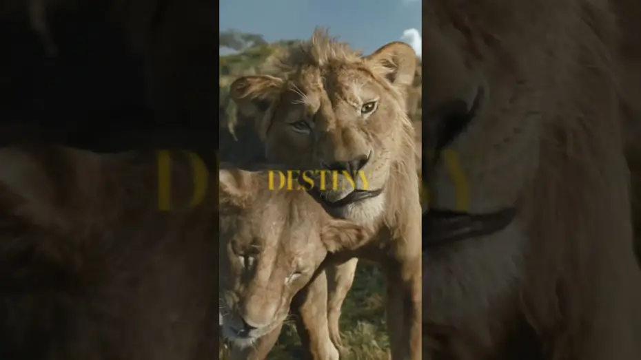 Відео до фільму Муфаса: Король Лев | Be the First to Watch at Home Today. Buy It Now Only On Digital