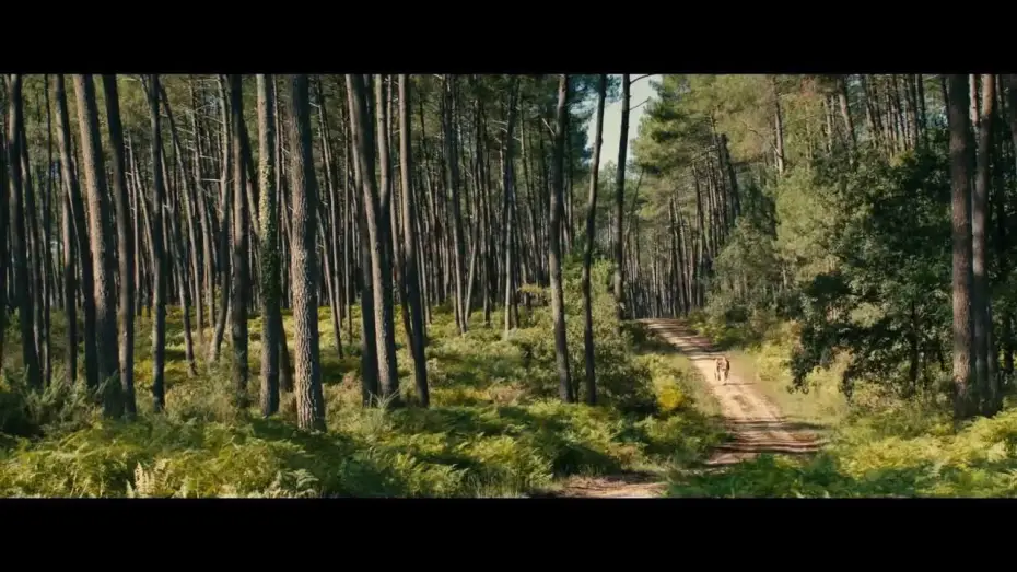 Відео до фільму Th&eacute;r&egrave;se Desqueyroux | Trailer TH&Eacute;R&Egrave;SE (Deutsch) mit Audrey Tautou