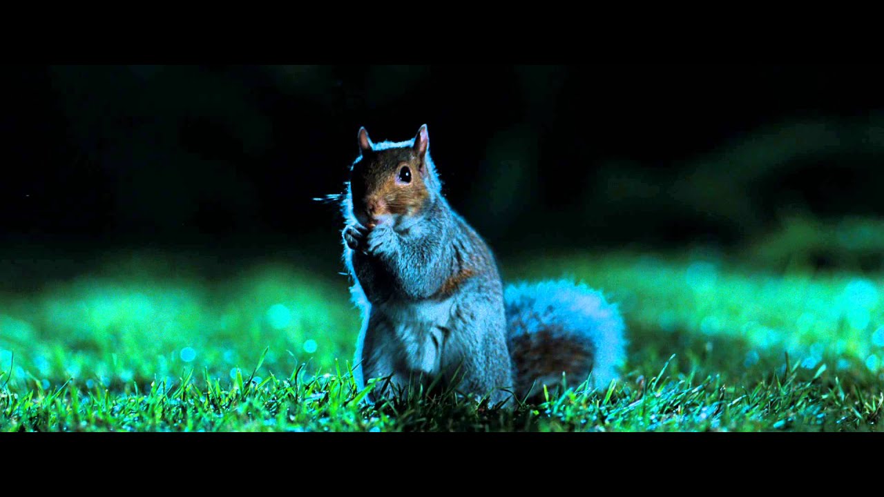 Відео до фільму Бригада &laquo;М&raquo; | Миссия Дарвина - Трейлер