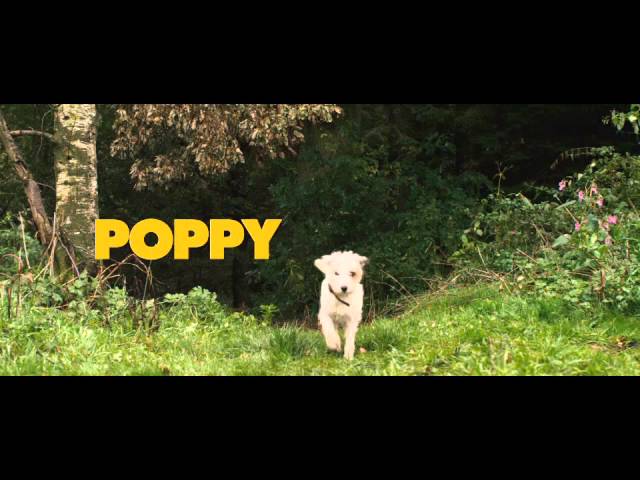 Відео до фільму Коханці на колесах | Official Theatrical trailer