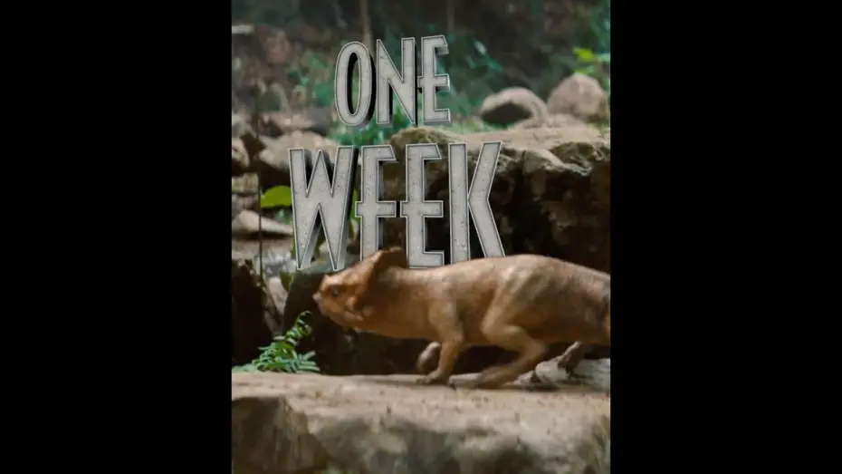 Відео до фільму Світ Юрського періоду: Відродження | You ready? Jurassic World Rebirth hits theaters in ONE WEEK. Get your tickets now!