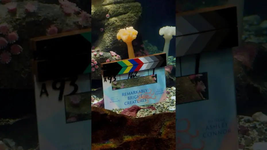 Відео до фільму Напрочуд кмітливі створіння | that's a wrap on Remarkably Bright Creatures