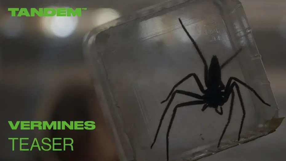 Відео до фільму Павуче лігво | Teaser