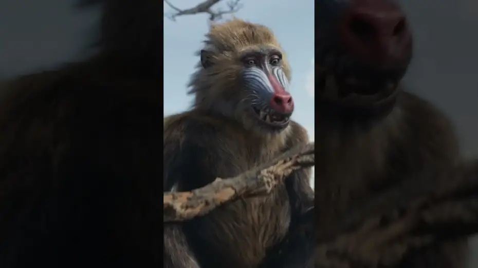 Відео до фільму Муфаса: Король Лев | Be the First to Watch at Home Today. Buy It Now Only On Digital