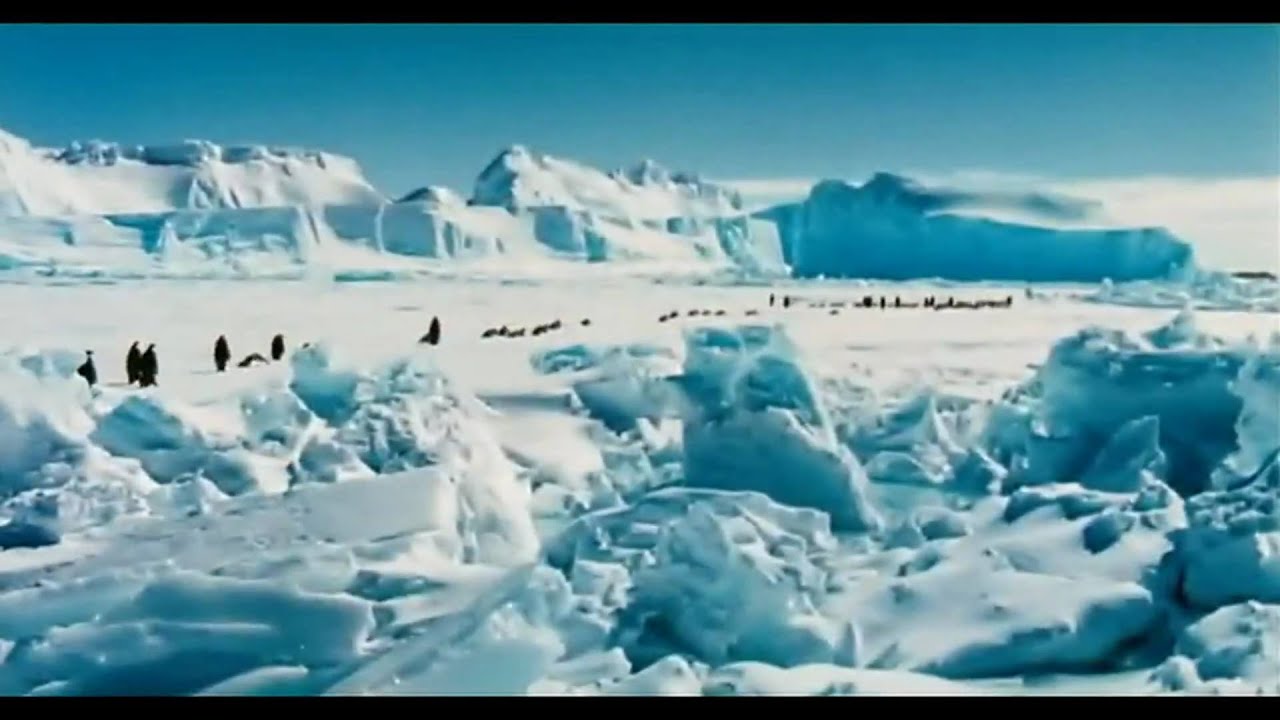 Відео до фільму Марш імператора | March Of The Penguins Trailer [HD]