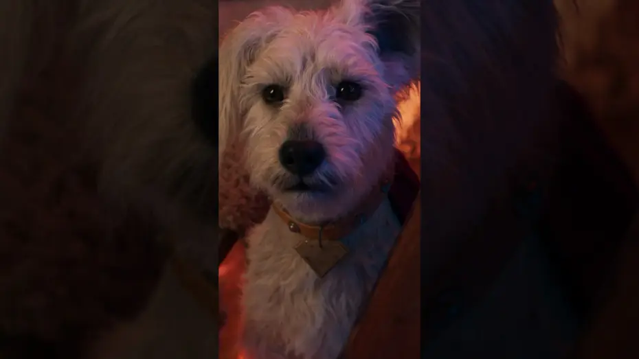 Відео до фільму Суперґьорл | You had me at woof.