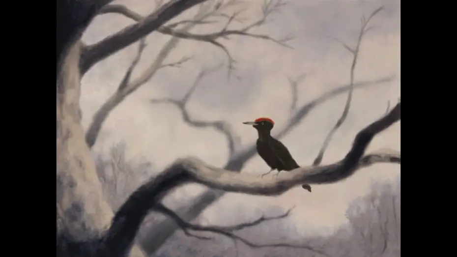 Відео до фільму Almagre | ALMAGRE - Annecy Festival 2024