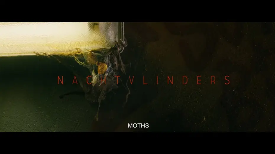 Відео до фільму Nachtvlinders | Night Creatures - Trailer
