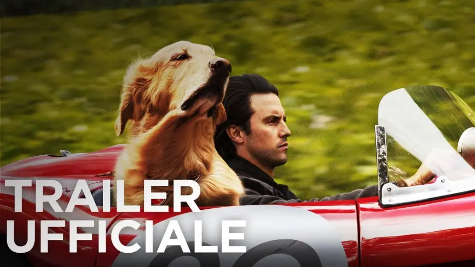 Відео до фільму Очима собаки | Attraverso i miei occhi | Trailer Ufficiale HD | 20th Century Fox 2019