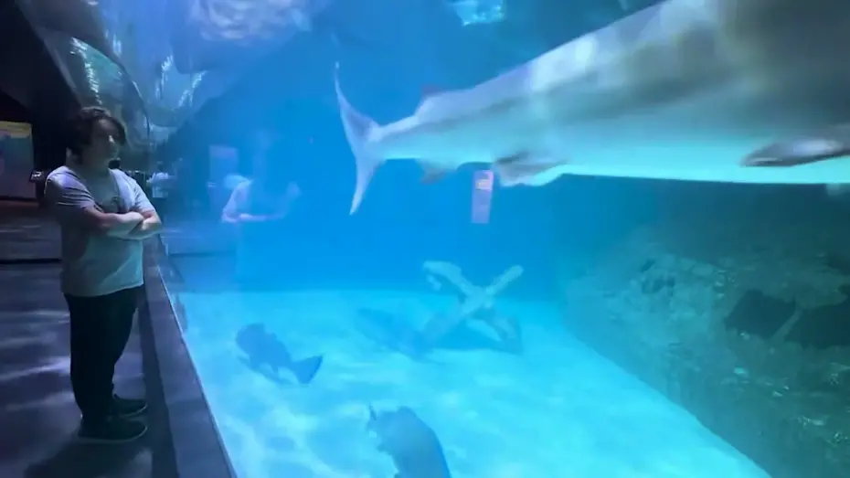 Відео до фільму A Summer Story | A Summer Story trailer