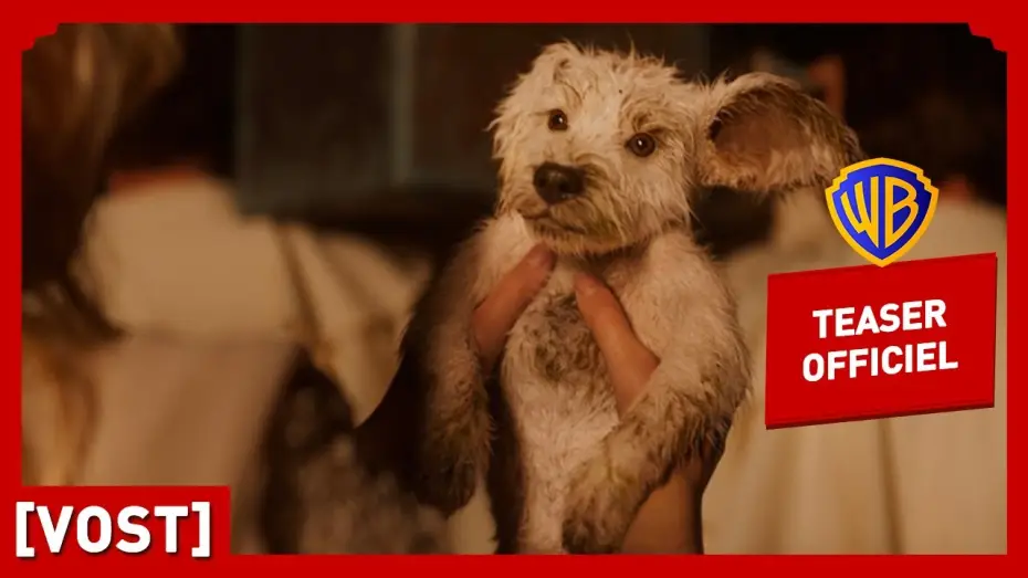 Відео до фільму Суперґьорл | Supergirl | Teaser Krypto (VOST) | Milly Alcock, Jason Momoa