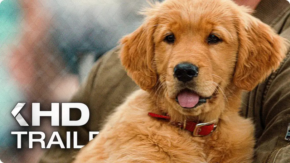 Відео до фільму Очима собаки | ENZO UND DIE WUNDERSAME WELT DER MENSCHEN Trailer German Deutsch (2019)