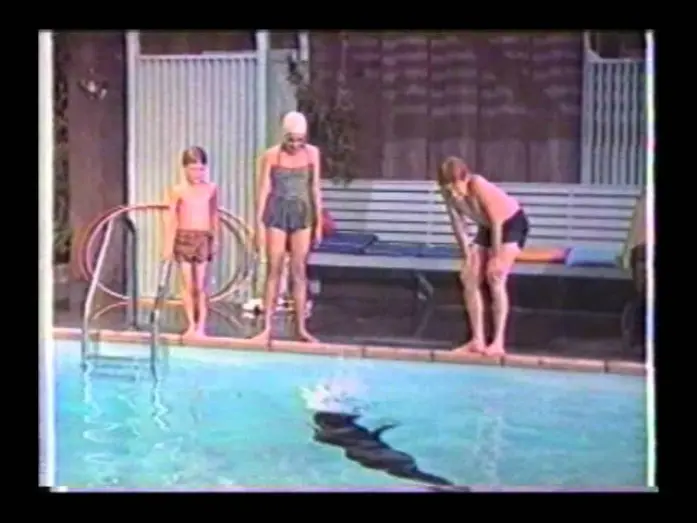 Відео до фільму Sammy, the Way-Out Seal | Sammy the Way-Out Seal trailer.wmv