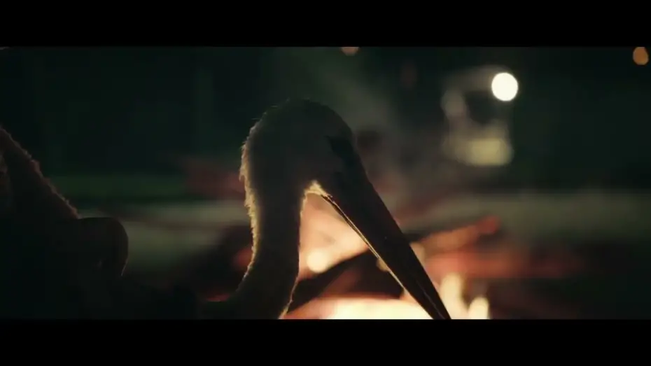 Відео до фільму Приказната за Силјан | THE TALE OF SILYAN clip