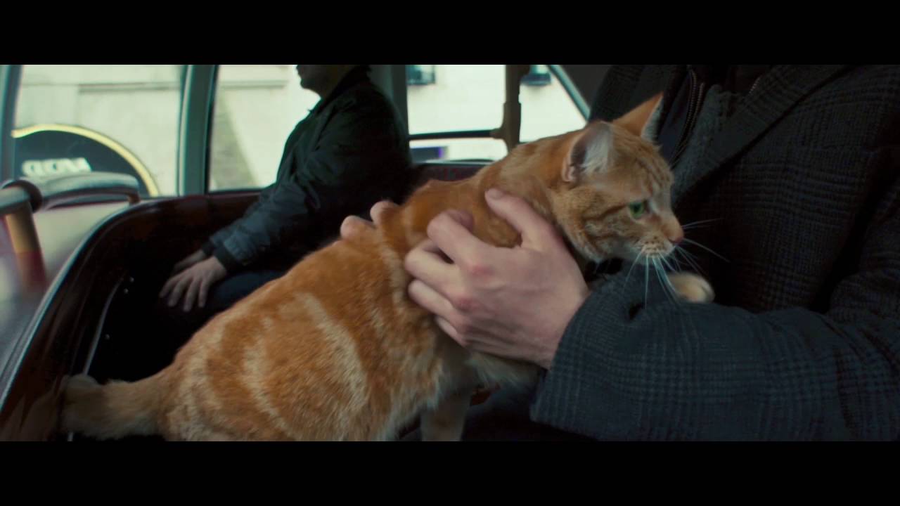 Відео до фільму Вуличний кіт на ім&rsquo;я Боб | A Street Cat Named Bob - Bus Clip - At Cinemas November 4