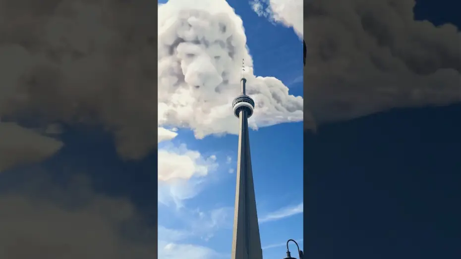 Відео до фільму Муфаса: Король Лев | Be the First to Watch at Home Today. Buy It Now Only On Digital